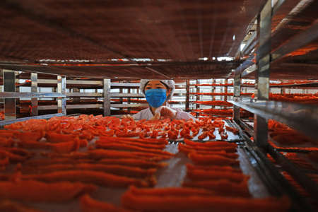 LUANNAN COUNTY, Hebei Province, China-September 4, 2020: The workers are checking the dried potatoes in the drying workshopのeditorial素材