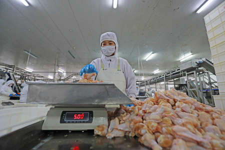 LUANNAN COUNTY, Hebei Province, China-July 28, 2020: Workers are busy on the chicken segmentation line in a food processing plantのeditorial素材