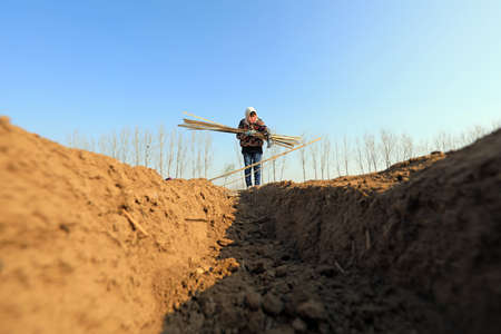 LUANNAN COUNTY, Hebei Province, China-April 2, 2020: Farmers are installing bamboo arches and planting ginger in the fields.のeditorial素材