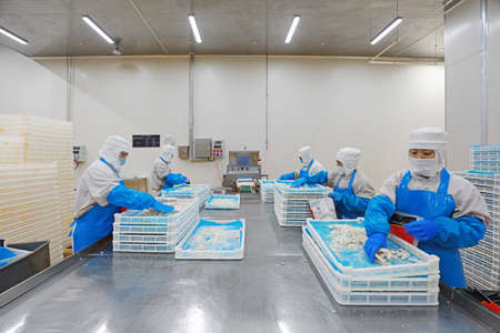 LUANNAN COUNTY, Hebei Province, China-July 28, 2020: Workers are busy in the chicken segmentation...