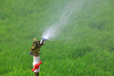 Sprinkler irrigation facilities in rice seedling base, North Chinaの写真素材