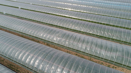 Vegetable greenhouses in rural areas, North Chinaのeditorial素材