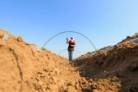 LUANNAN COUNTY, Hebei Province, China-April 2, 2020: Farmers are installing bamboo arches to plant...