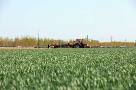 Farmers drive seeders to grow Plastic Mulched peanuts on the farm.のeditorial素材