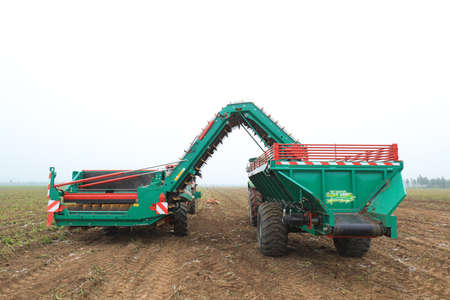 LUANNAN COUNTY, Hebei Province, China-June 29, 2020: Farmers use agricultural machinery to harvest potatoes on the farmのeditorial素材