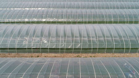 Vegetable greenhouses in rural areas, North Chinaのeditorial素材