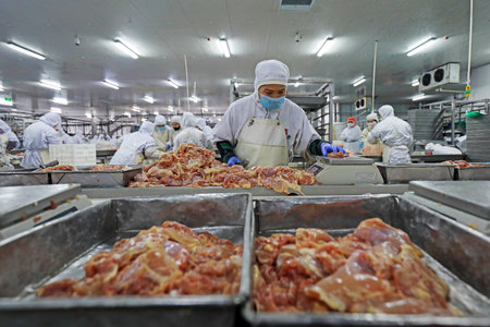 LUANNAN COUNTY, Hebei Province, China - March 17, 2020: The workers are busy in a modern broiler processing factory on the production line of broiler segmentation.のeditorial素材
