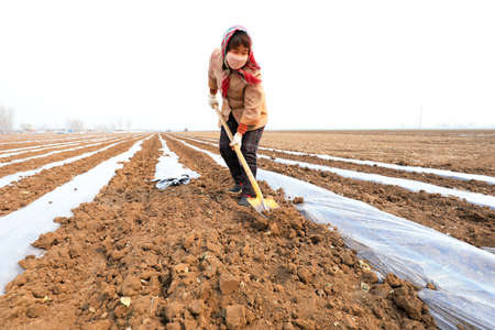 LUANNAN COUNTY, Hebei Province, China - March 31, 2020: The farmer's wife uses a spade to cover the soil with plastic film in the farmland.のeditorial素材