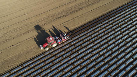 The planter is sowing potatoes in the field, North China Plain