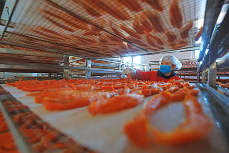 LUANNAN COUNTY, China - December 20, 2020: Workers are checking the drying effect of sweet potato in the production workshop, LUANNAN COUNTY, Hebei Province, Chinaのeditorial素材