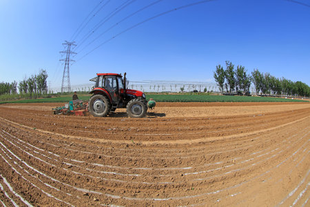 LUANNAN COUNTY, Hebei Province, China - May 5, 2019: Farmers drive seeders to grow mulched peanuts...