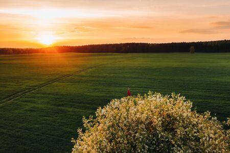 a beautiful girl in spring in a red dress is walking in a field at sunset. Taken from the air by a quadrocopterの写真素材
