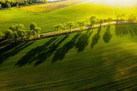 A birds-eye view of a green field and a road in Europe. Nature Of Belarus. Own green field at sunset and roadの写真素材