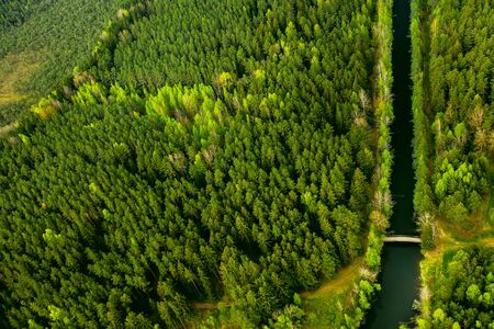 Bird's-eye view of the river and bridge. Forest area with a river in Belarus.の写真素材