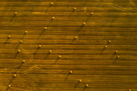 Straw bales on farmland with a blue cloudy sky.Harvested field with bales in Europe.Harvest.Belarus.の写真素材