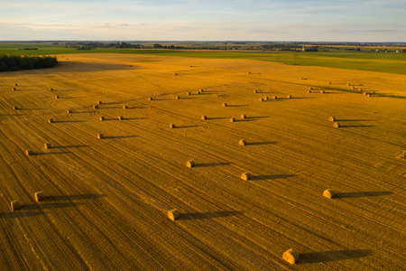 Straw bales on farmland with a blue cloudy sky.Harvested field with bales in Europe.Harvest.Belarus.の写真素材