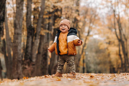 a little boy smiles in an autumn Park. A family walks through the Golden autumn nature Parkの写真素材