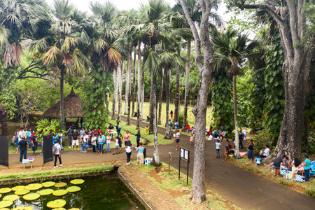 December 08, 2019.Botanical Garden in Pamplemus, Locals relax in the garden.Mauritiusのeditorial素材