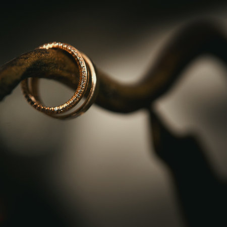 Close-up of two gold wedding rings for a wedding.の写真素材