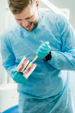 A model of a human jaw with teeth and a toothbrush in the dentists handの写真素材