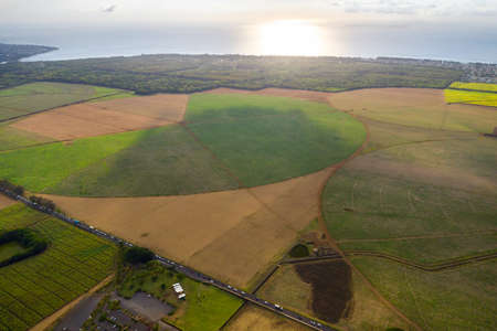 View from the height of the sown fields located on the island of Mauritius.の写真素材