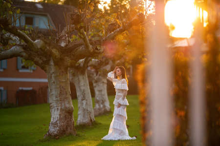 A bride in a white wedding dress in a park in an Austrian town with large trees at sunsetの写真素材