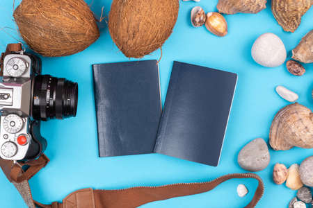 camera, coconuts, shells and documents on a blue background. Background for the traveler.