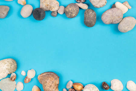 Seashells and rocks on a blue background.Marine theme.の写真素材