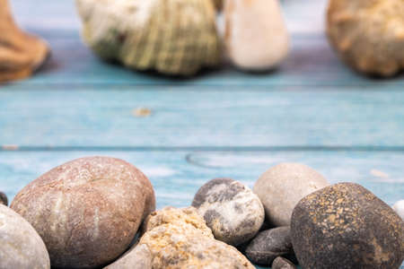 coconuts, rocks and shells on a blue wooden background.Marine theme.