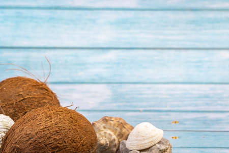 coconuts, rocks and shells on a blue wooden background.Marine theme.の写真素材