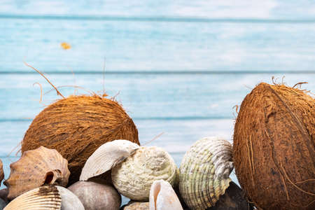 coconuts, rocks and shells on a blue wooden background.Marine theme.の写真素材