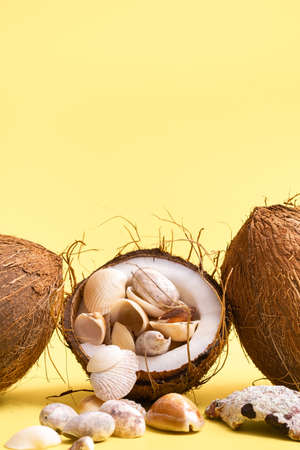 coconuts and shells on a yellow background. Marine theme.
