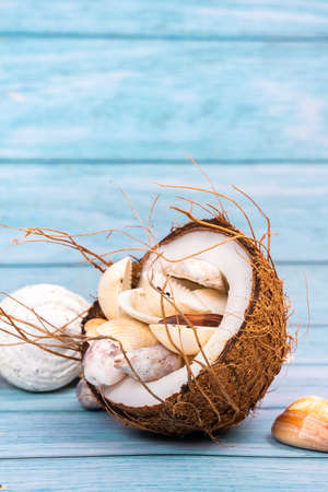 coconuts and seashells on a blue wooden background .Marine theme.の写真素材