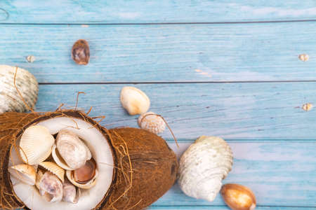 coconuts and seashells on a blue wooden background .Marine theme.