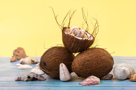 coconuts and shells on a yellow and blue wooden background. Marine theme.