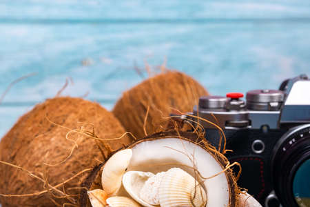 camera, coconuts and shells on a blue wooden background.Marine theme.の写真素材