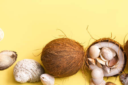 coconuts and shells on a yellow background. Marine theme.