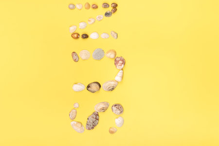 The inscription of the word sun is made of shells on a yellow background.Travel concept.の写真素材