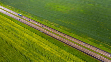 Top view of the sown green in Belarus.Agriculture in Belarus.Texture.