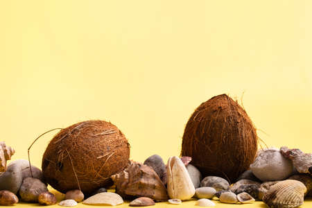 Coconuts, rocks and shells on a yellow background. Marine theme.の写真素材