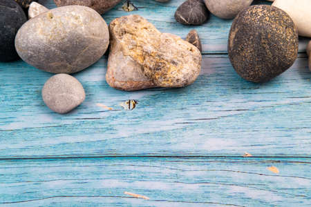 rocks and shells on a blue wooden background.Marine theme.の写真素材