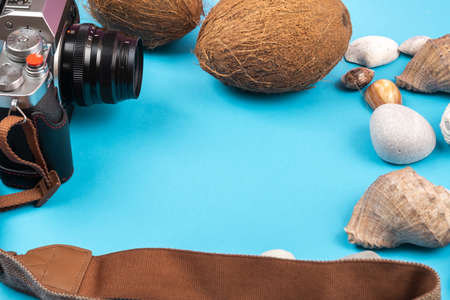 camera, coconuts and shells on a blue background. Background for the traveler.