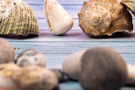 coconuts, rocks and shells on a blue wooden background.Marine theme.の写真素材