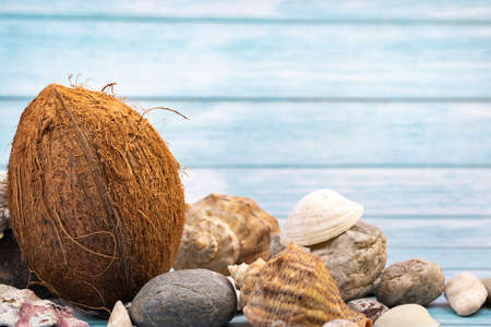 coconuts, rocks and shells on a blue wooden background.Marine theme.