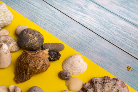 stones and shells on a blue wooden background and a yellow background.Marine theme.の写真素材