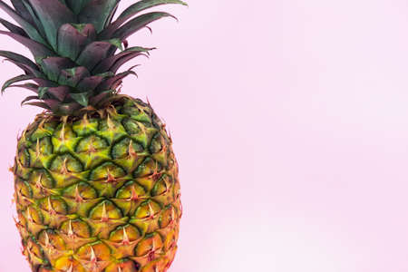 A large pineapple on a pink isolated background. Minimal style.