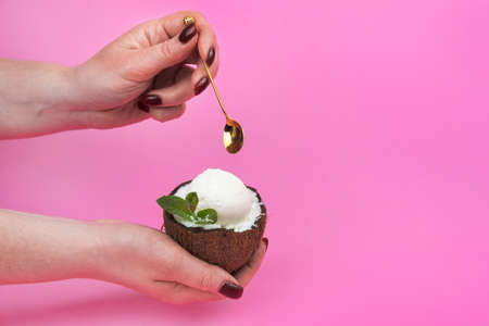 Vanilla ice cream balls in a fresh coconut half, decorated with mint leaves in the hand with a spoon on a pink background.の写真素材