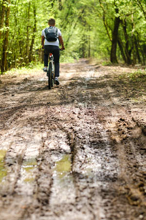 A group of cyclists with backpacks ride bicycles on a forest road enjoying nature.