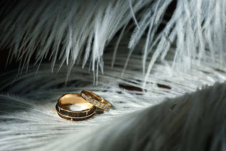Two wedding rings lie in white feathers. The concept of love.