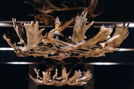 A chandelier made of deer antlers hanging on the ceiling of the interior.